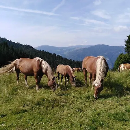 Ai Sassi Bed & Breakfast Sovramonte