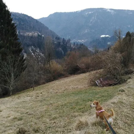 Ai Sassi